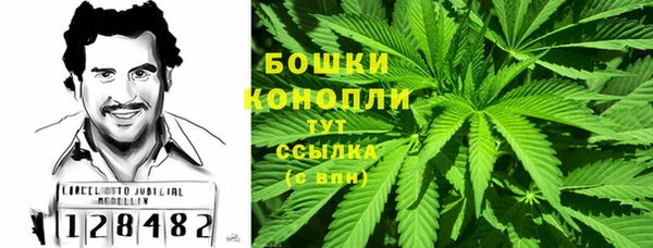 метадон Гусиноозёрск