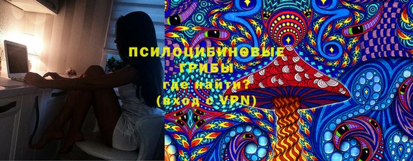 метадон Гусиноозёрск