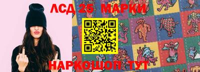 СК Донецк