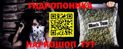 СК Донецк