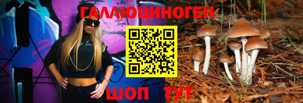 купить наркотик  Мценск  Псилоцибиновые грибы ЛСД 