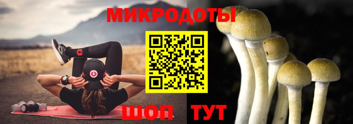 Галлюциногенные грибы Cubensis  Вход с VPN  Мценск 