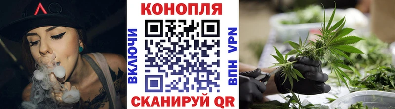 купить наркотики цена  darknet формула  Канабис сатива  Мценск 